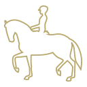 equipo profesional con experiencia