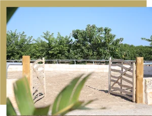 Outdoor - Paradise Ranch