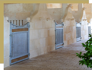 Indoor - Paradise Ranch