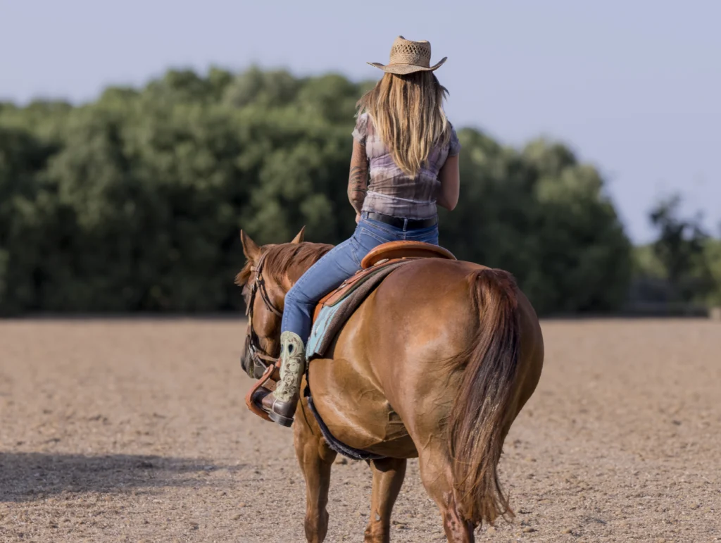 Spacious outdoor paddocks under Mediterranean skies