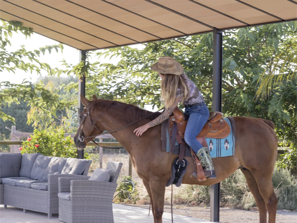 Ideal destination for horse owners seeking quality and care