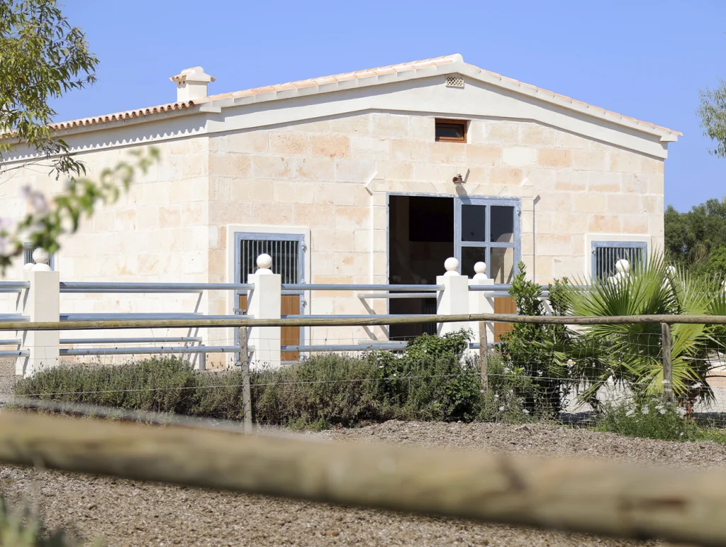 Top-tier facilities for boarding, training, and therapy