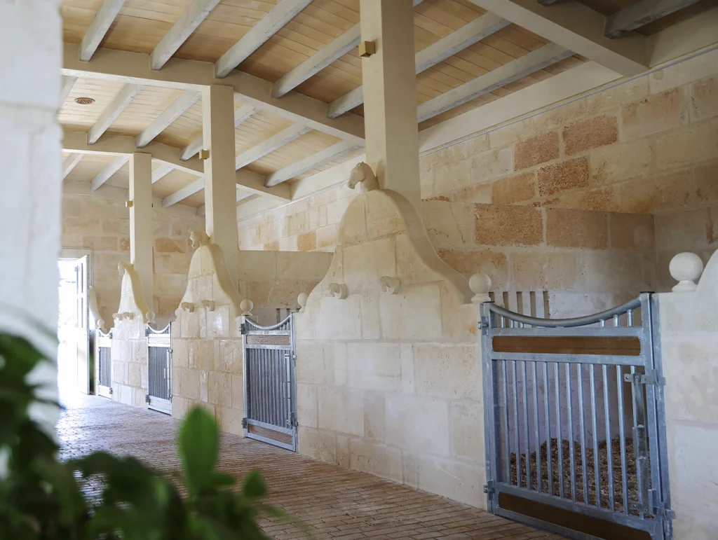 Top-level equestrian facilities in a serene Mallorcan setting